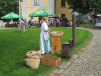 /album/fotogalerie-zamek-ctenice/zamecky-areal-ctenice33333-jpg/